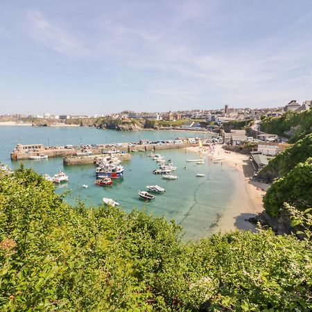 Villa Fistral Quay New Quay Esterno foto